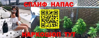гидра Лесосибирск