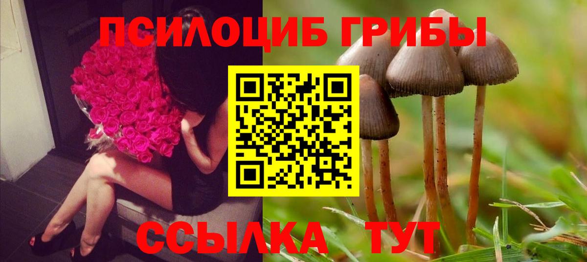 ГАШ  NBOMe  МЕТ  Меф МЯУ МЯУ   Вход с VPN  Бошки Шишки  Гуково  ГАШ 
