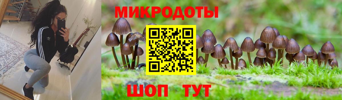 Галлюциногенные грибы Psilocybe  Галлюциногенные грибы MAGIC MUSHROOMS  Гуково  Вход с VPN 